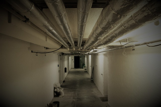 Illustration for article titled You Need To Make Sure Your Basement Is Actually Set For Taking Advantage Of As Storage